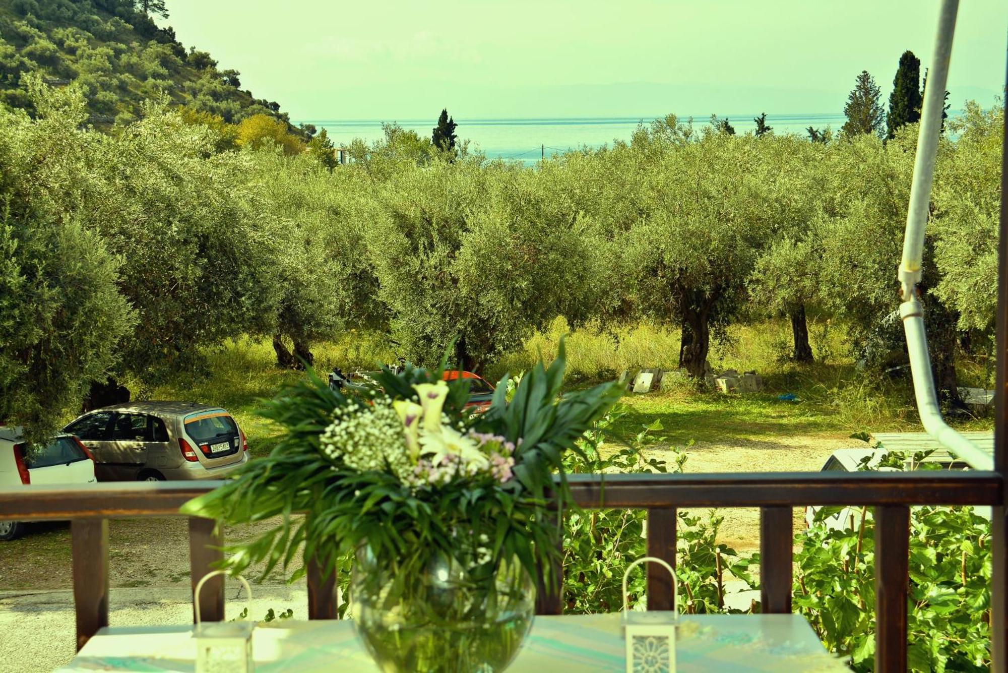 Nina Apartments Νέο Κλήμα Δωμάτιο φωτογραφία